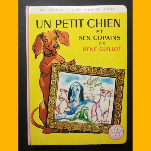 Nouvelle bibliothèque rose - bibliothèque,