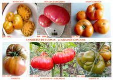 6 variétés tomates