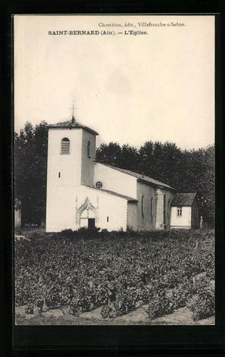 Cpa saint bernard - cpa,