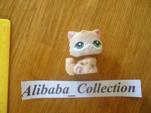 380 persian cat - **,