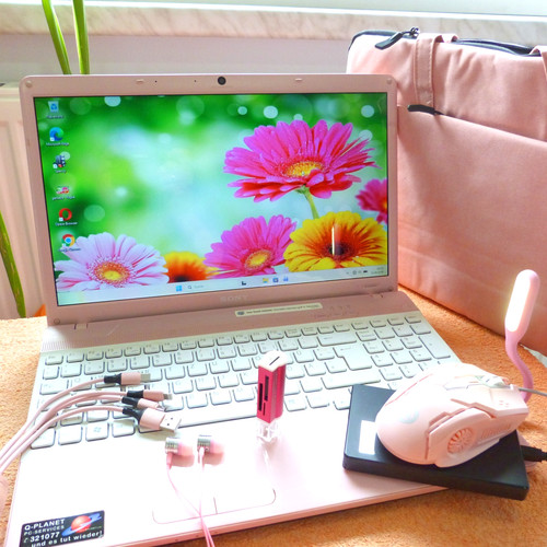 Set rose lady sony - rose,