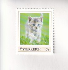 TIMBRE PM Autriche chatons