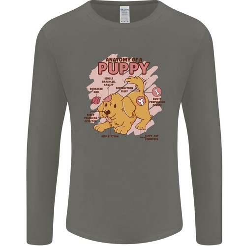 Anatomie chiot homme - d'un,