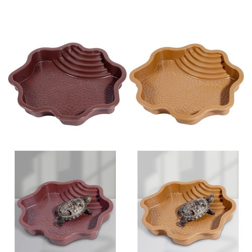 Bol eau tortue piscine - bol, de