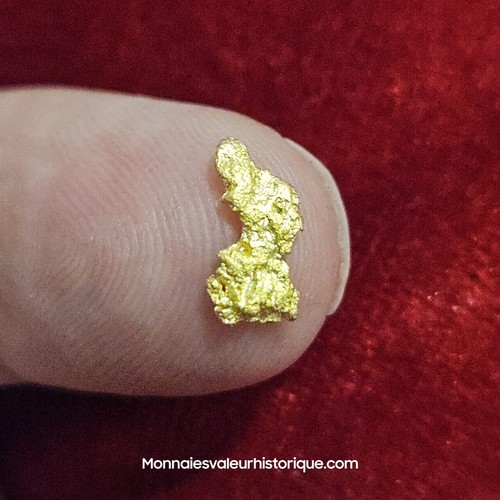 Pépite naturelle - d'or,