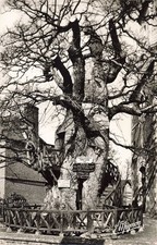 76 ALLOUVILLE BELLEFOSSE LE CHENE