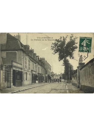 Villemomble platane de - –,