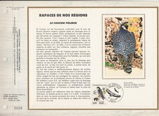 1984 Philatelic Document A4 CEF RAPTORS DE FRANCE Pilgrim Falcon