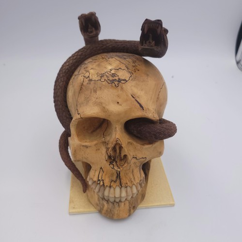 Grand crâne memento - , mori