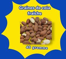 NOIX DE PETIT COLA / KOLA /