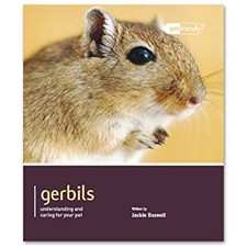 Gerbilles : Compréhension Et Caring pour Votre Pet Livre de Poche Jackie