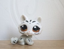 littlest petshop cat sphynx