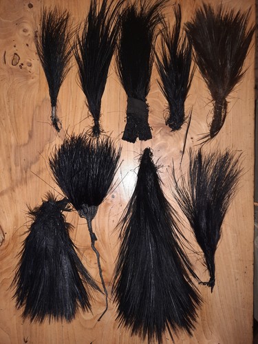 Lot anciennes plumes droite - 9,