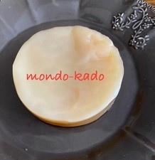 Souche de "champignon" kombucha de minimum 50 grammes