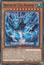 Yu-Gi-Oh! [SD] Dragon de l'Eau