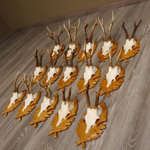 Pièces bois cerf sur - de, de