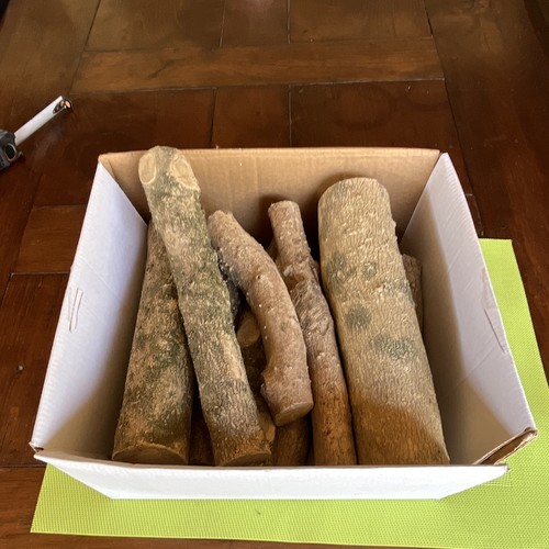 Lot morceaux bois brut - de,