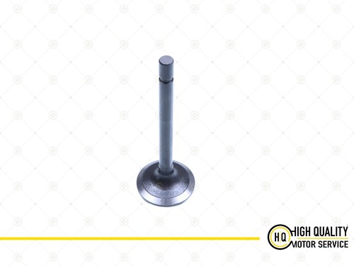 Exhaust valve for - exhaust,