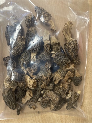 Morilles séchées 100 - morilles, g