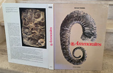 Thomel Gerard -  Ammonites
