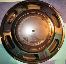 Eminence 100 Watt Guitar