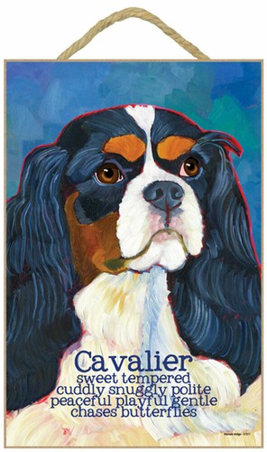 Cavalier king charles - charles, &