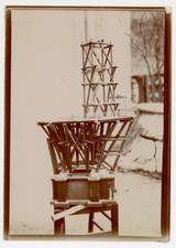 Vintage Bird Feeder Print Citrate Print 13x18 Circa 1890 
