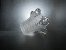 1 tulipe cornet fleur abat