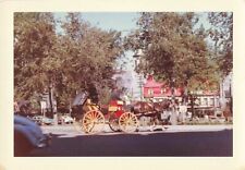 ANCIENNE JOLIE PETITE PHOTO ANCIENNE 1962 CALECHE CENTRAL PARK NEW YORK?