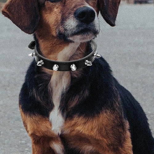 Adjustable collar collier - ,