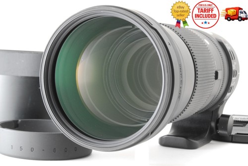 Almost mint hood sigma - [almost,