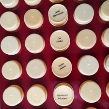 Le Nez (aromes) du Vin 