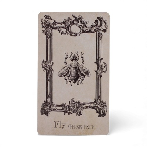 Oracle spellbook 40 cartes - oracle,