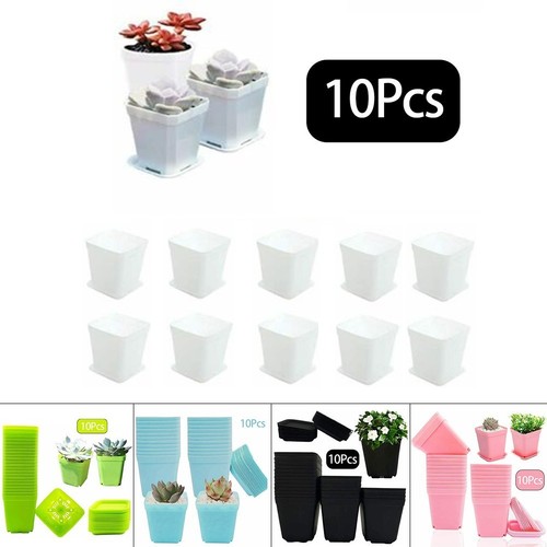 Fleurs pots carré plastique - fleurs,