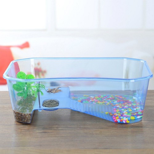 Terrarium tortue cage pour - tortue,