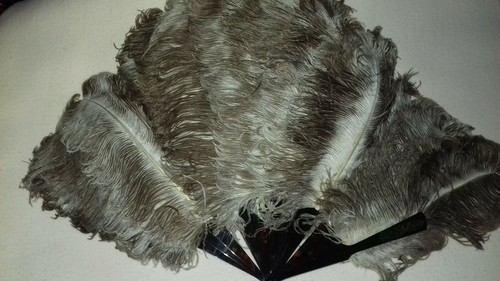 Eventail plumes autruche xix - autruche,