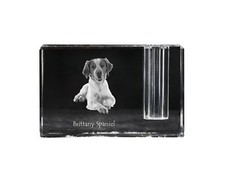 Epagneul Breton, Chien D'Arret