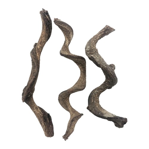 Reptile decor 3pcs natural - decor,