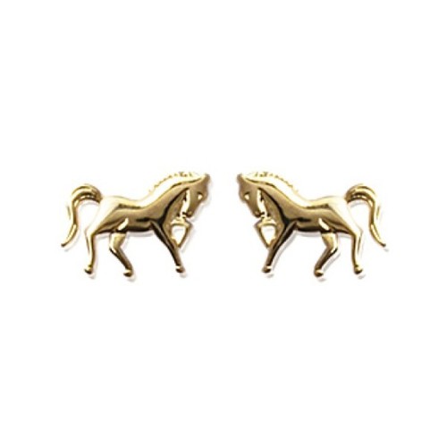 Boucles oreilles puces - d'oreilles,