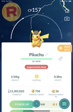 Pikachu Detective Costume Non-Shiny Go Reg or 1M
