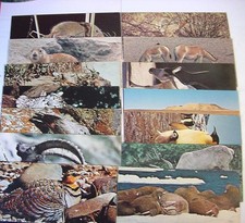 NESTLE WONDERS OF THE WORLD POSTCARDS - 39 - between 4 and 81