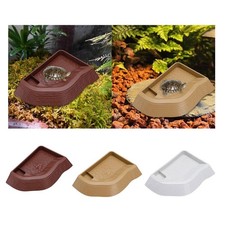 Bassin Aquatique pour