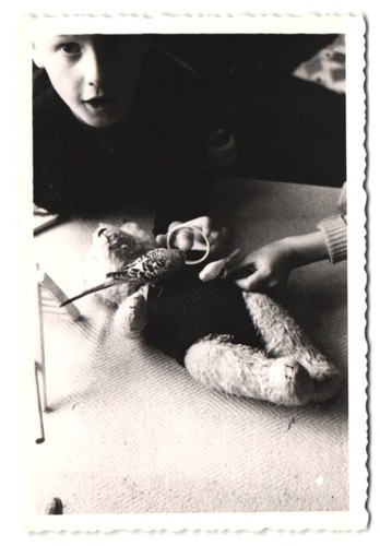 Photographie wurfschmidt - photographie,
