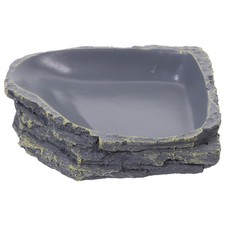 Accessoires Pour Tortues