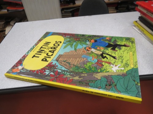 Ca364 tintin les - ca364, picaros