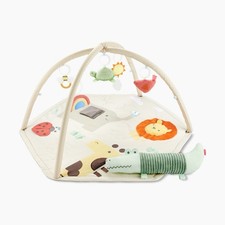 Skip Hop Garden Oasis Baby Activity Gym with Soft Mat and Hanging Toys NEW