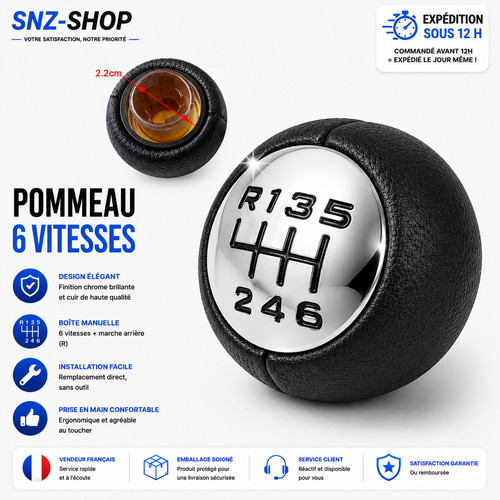 Pommeau levier vitesse - de, 6