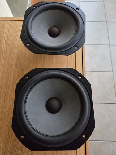 Paire graves focal 8v4251 - paire,