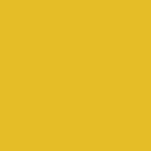 Pages tournesol doré jaune - 50,
