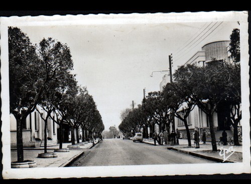 Marengo renault juva - marengo,